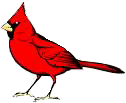 SHS Cardinals