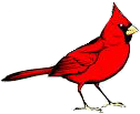 SHS Cardinals